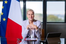 Anne Le Hénanff